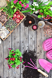 Garden tools, flowers, fertilizers, seeds, garden tools on a wooden background. Spring garden working concept. Copy space. Top view, flat lay.
