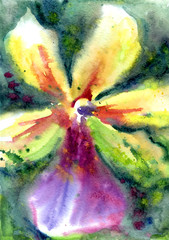 Bright orchid in an expressive manner with splashes and stains of paint, abstract painting, watercolor illustration, hand drawing.