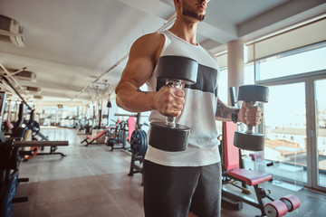 Young muscular man is doing exercises with dumbbells in sunny gym.
