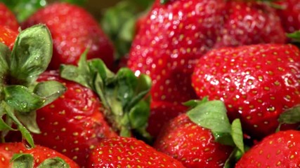 Strawberry on wooden table, bedabbled with dew and leaved. Harvesting pile of picked freshly red berry and green leaves close up with horizontal motion .