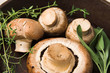 mushrooms and herbs 