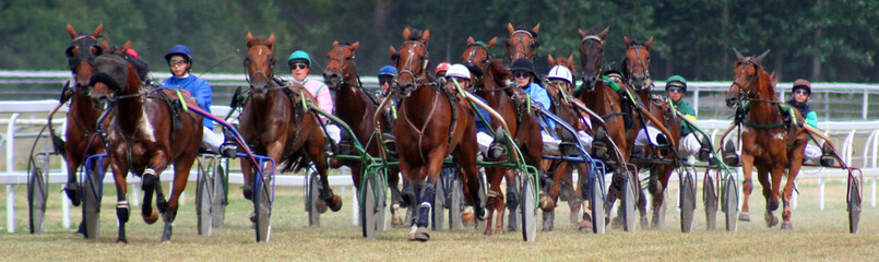 course de chevaux