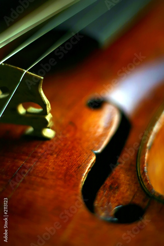 Fototapeta violin