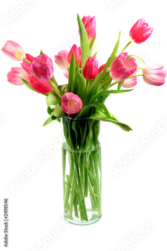 Lacobel pink tulips