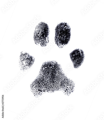 huella digital canina