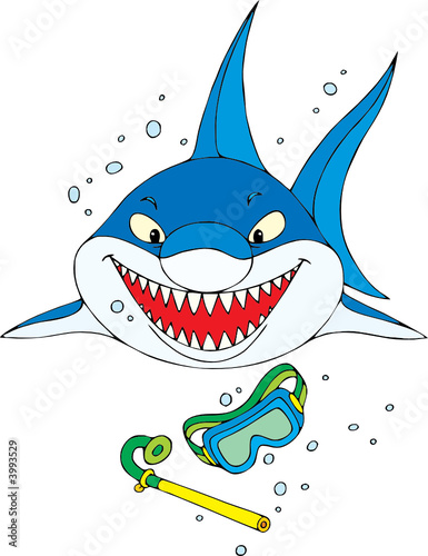 Lacobel Shark
