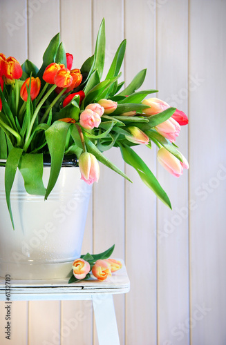 barwioni-wiosna-tulipany-na-starej-lawce