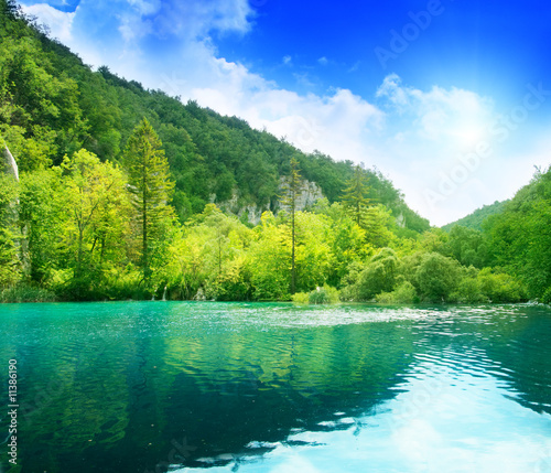 Fototapeta lake in deep forest