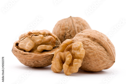 walnut © dinostock