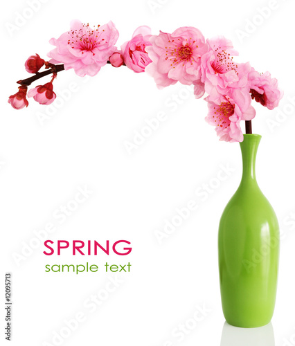 Lacobel Blooming spring cherry branch in vase