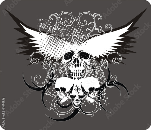  skull grey with wings