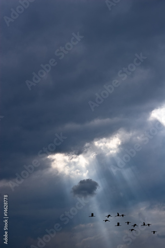 Fototapeta Rays of light shining through dark clouds and birds fly by