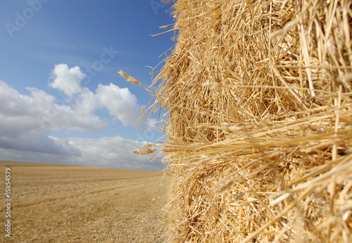 Fototapeta Straw Haystack in Harvested Field