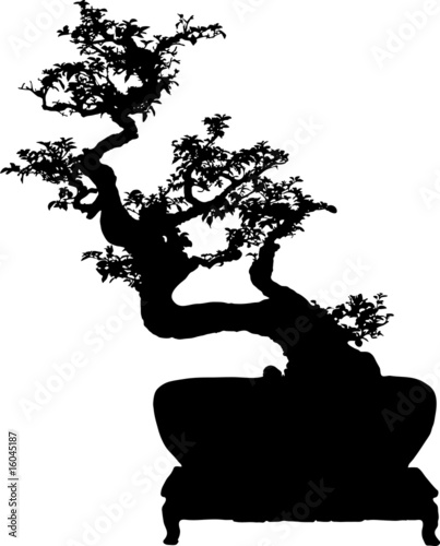  Bonsai silhouette