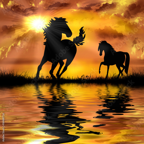Fototapeta horse on a beautiful sunset background