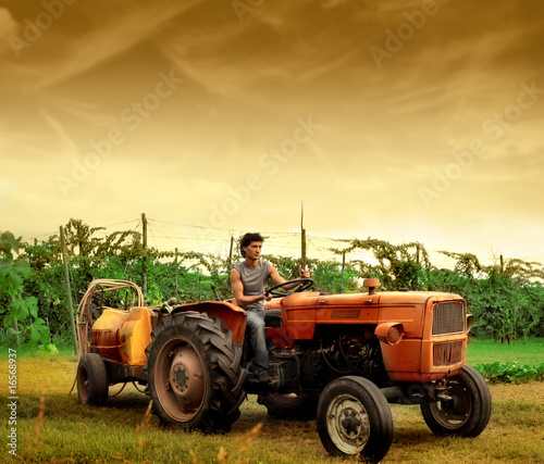 Fototapeta tractor