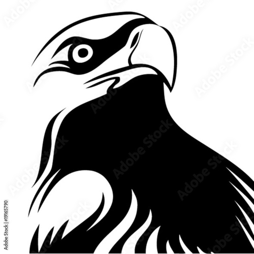 Lacobel Design of an eagle