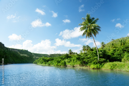 Fototapeta tropical river