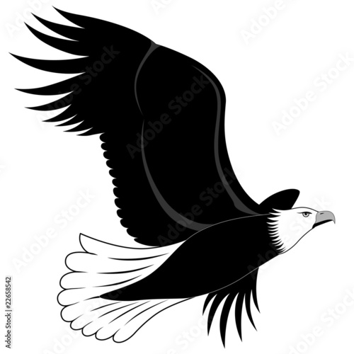 Lacobel Eagle, tattoo
