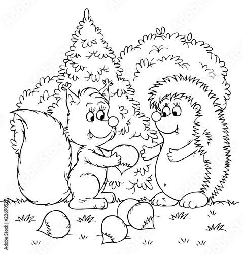  Squirrel and hedgehog with nuts