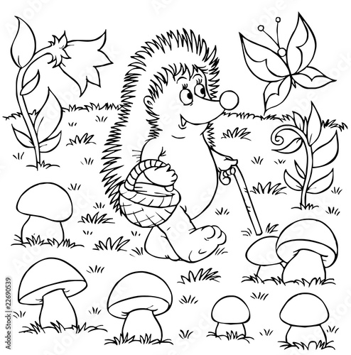  Hedgehog gathers mushrooms
