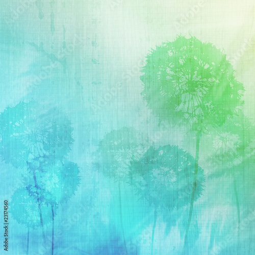 grunge-background-with-dandelions