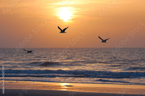 Fototapeta Sunset and ocean