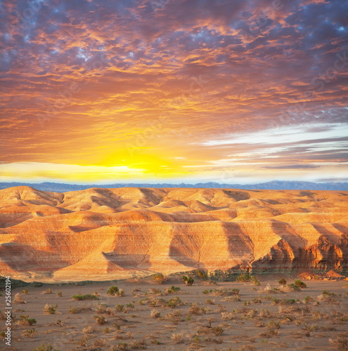 Fototapeta Gobi desert