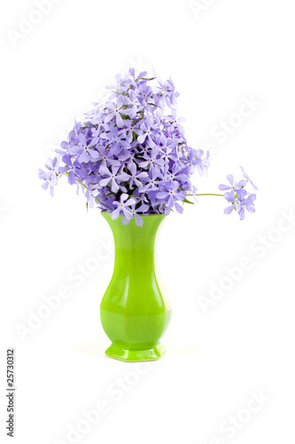Lacobel Blue flowers
