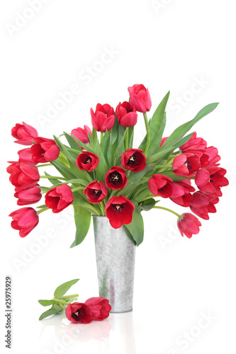 Lacobel Red Tulip Flowers