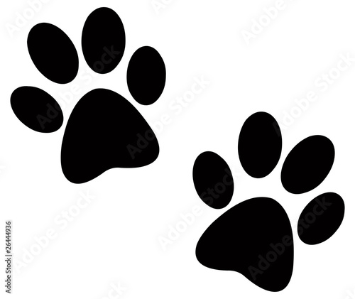  Black paw prints