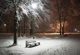 Winter park at night