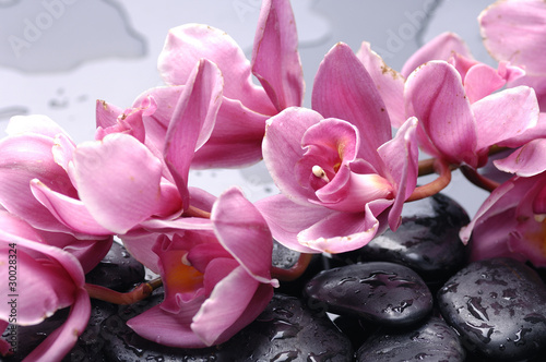 set-cattleya-storczykowy-kwiat-i-kamien-z-wodnymi-kroplami