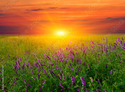 sunset over summer meadow