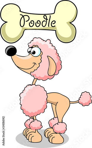 Lacobel мультфильм собака породы такса