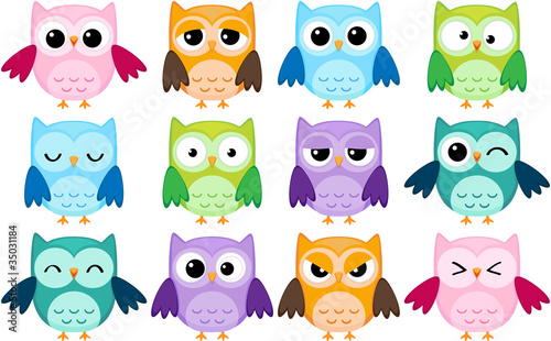 Fototapeta Set of 12 cartoon owls with various emotions