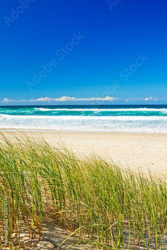 trawa-i-piaszczysta-plaza-na-gold-coast-queensland
