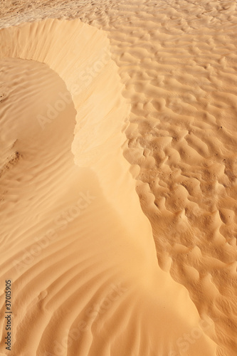 Fototapeta Detail of desert dune