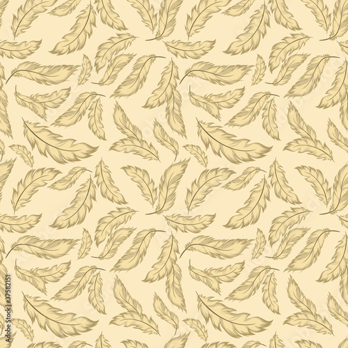 Fototapeta Feather seamless pattern
