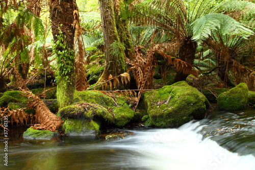 wspanialy-russel-spada-w-tasmania-australia