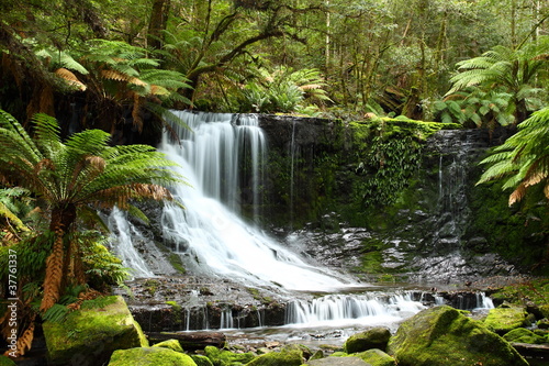 wspanialy-russel-spada-w-tasmania-australia