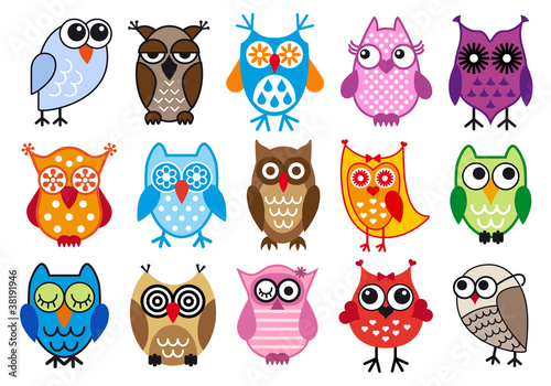 Fototapeta colorful vector owls