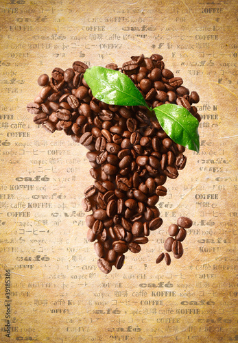 Fototapeta Coffee Bean Africa