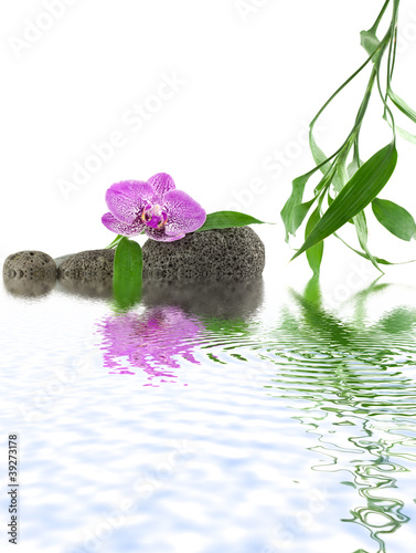 wystroj-zen-relaks-woda-orchidea-kamyki-bambus