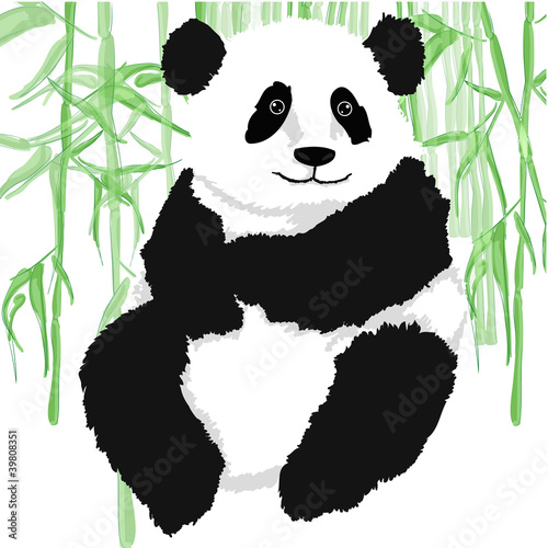 panda-z-bambusowymi-roslinami-na-bialym-tle
