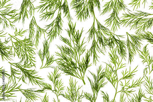 swiezego-koperku-close-up-background-podswietlany