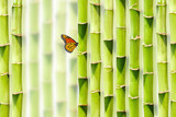 Asiatischer Bambus Hintergrund mit Schmetterling