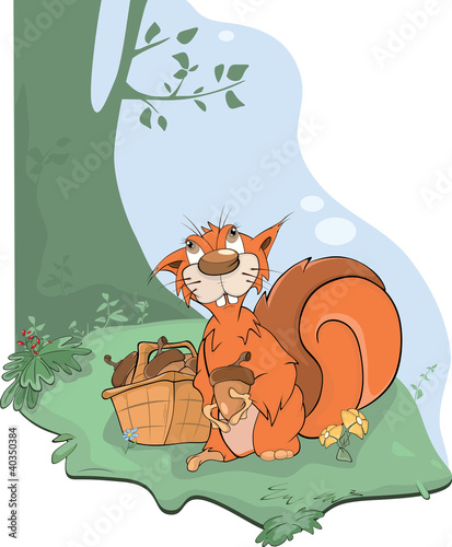 wiewiorka-i-zoledzie-kreskowka