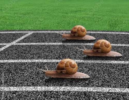 slimaki-scigaja-sie-na-torze-sportowym