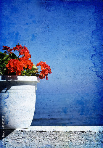 Fototapeta Greek specific-red flower with blue sea background